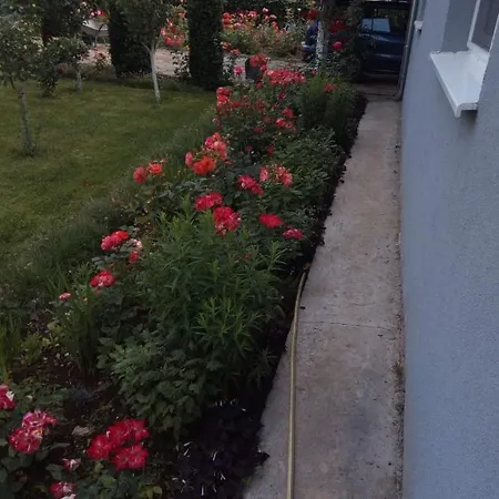 Kuca Za Odmor Duranovic Apartment Kladovo