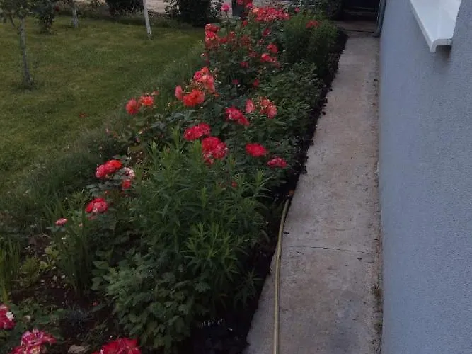 Kuca Za Odmor Duranovic דירה קלדאבו